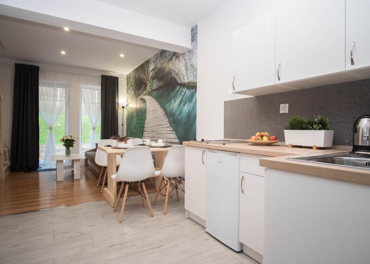 Apartamenty Goszowita Stronie Śląskie Exteriör bild